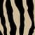 Alex scarf 14856 Desert St.