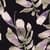 Dusky Orchid