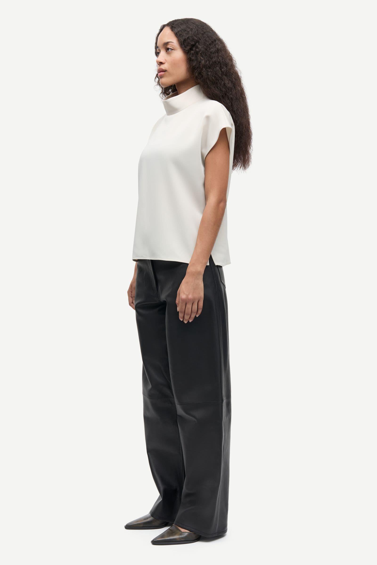 Sahoys top 7331 Pumice Stone