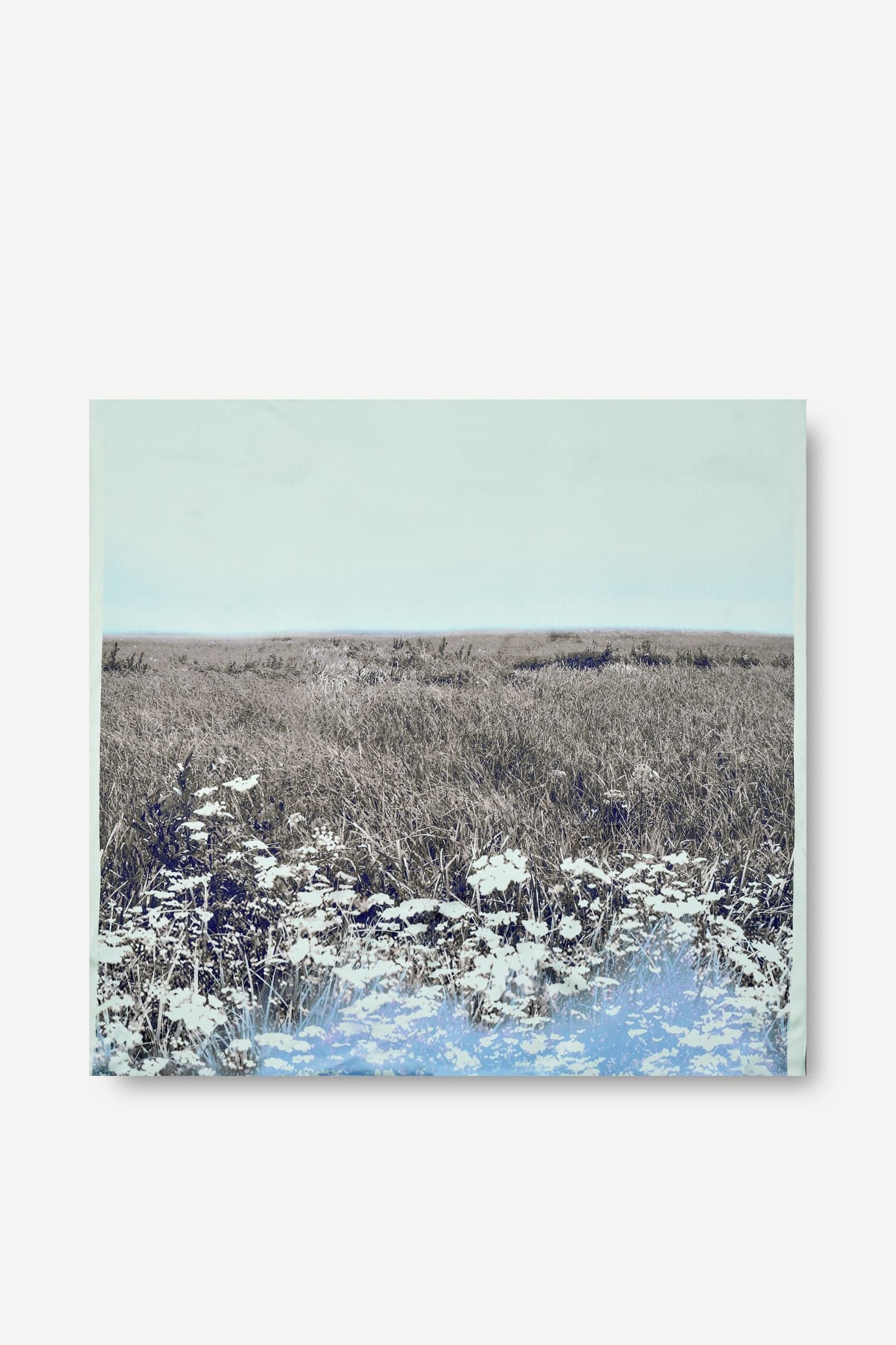 Saelli scarf 16034 Hazy Fields